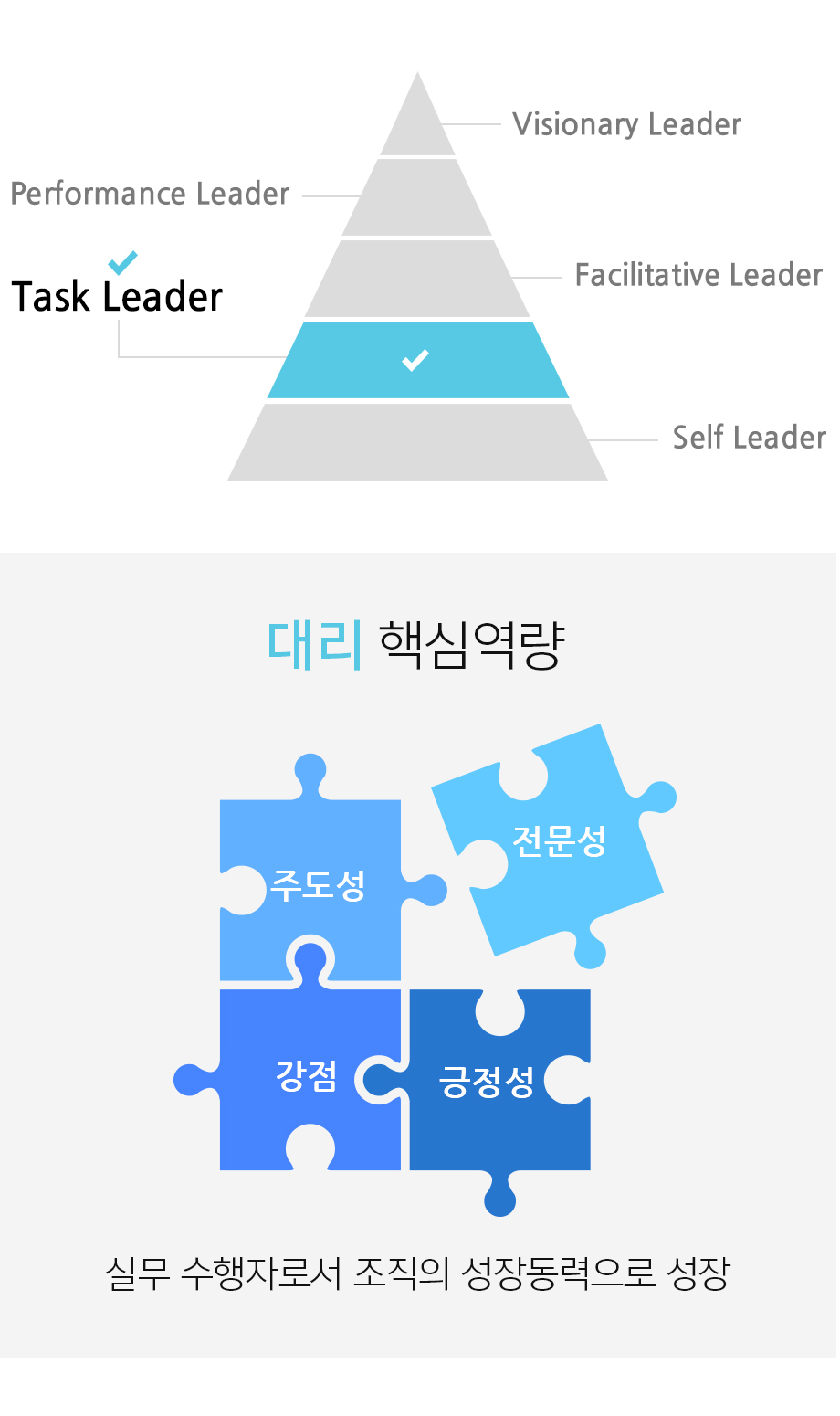 대리 핵심역량 주도성 전문성 긍정성 실무수행자로서 조직의 성장동력으로 성장